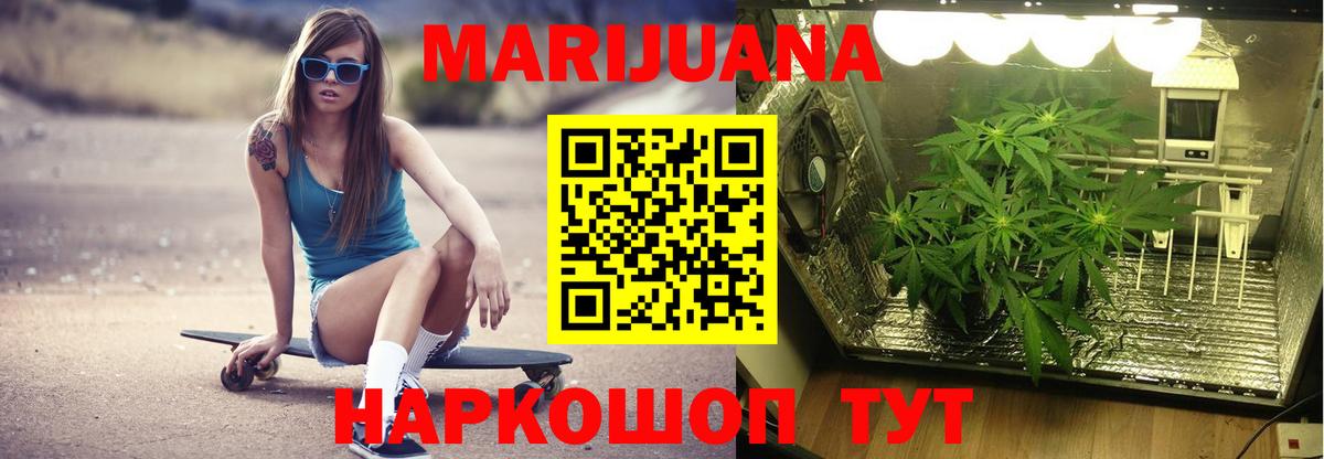 Каннабис White Widow  Бошки марихуана план  Бошки Шишки план  Новосибирск  МАРИХУАНА VHQ  Вход с VPN 
